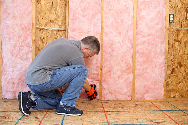 Professional Insulation Contractor in Mount Zion, IL