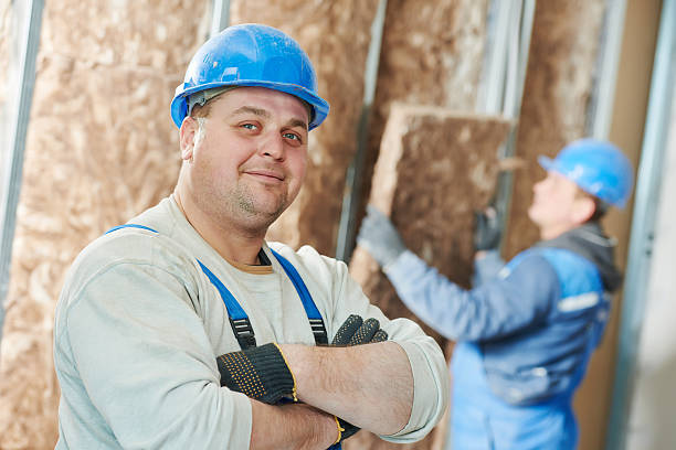 Best Residential Insulation in Mount Zion, IL