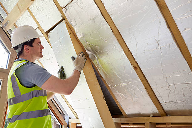 Best Insulation Maintenance and Repair in Mount Zion, IL